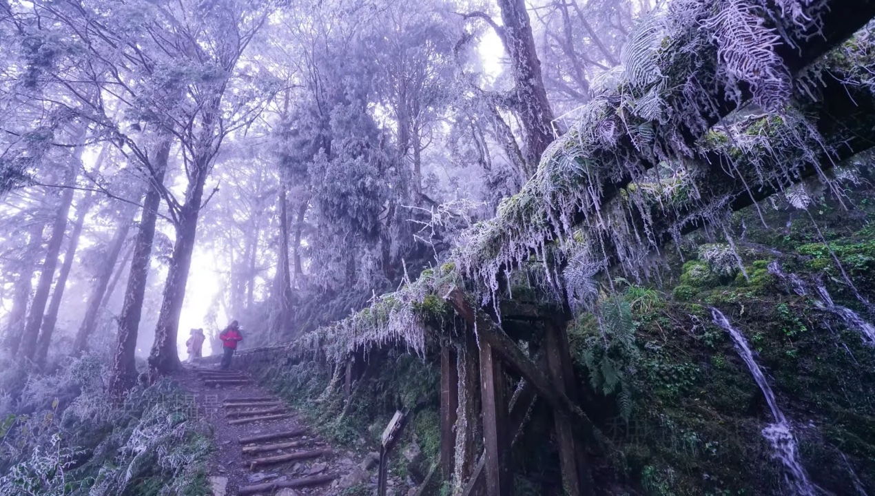 太平山天氣如何 塞車了嗎 即時影像一目瞭然 隔壁老王